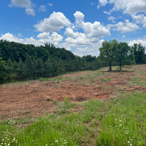 photo of newly cleared game plot