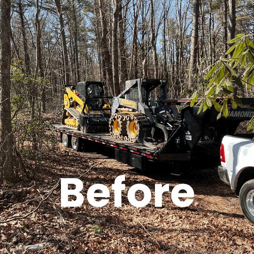 rotating gif showing area of forest before and after mulching
